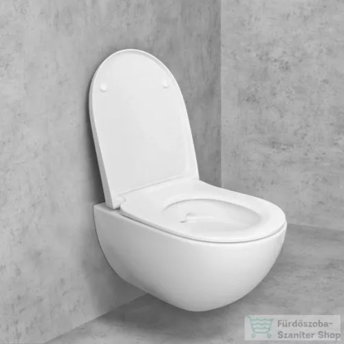 Geberit Acanto Rimfree fali wc 500.600.01.2