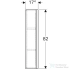 Geberit ACANTO 45x17,4x82 cm-es 1 ajtós fali szekrény belső tükörrel,fényes fehér/üveg 500.639.01.2