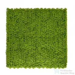 Mirpol Moha műanyag zöldfal 50x50 cm 5905610253776