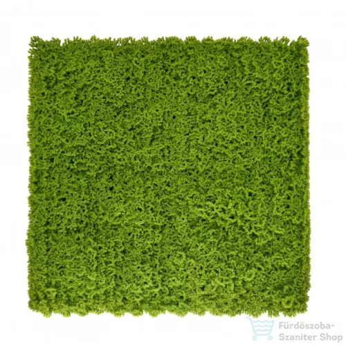 Mirpol Moha műanyag zöldfal 50x50 cm 5905610253776