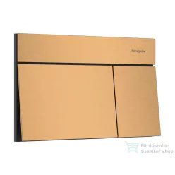   Hansgrohe iFRAME ELEMENT E dual nyomólap, szálcsiszolt bronz 66003140
