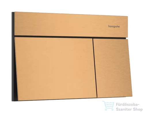Hansgrohe iFRAME ELEMENT E dual nyomólap, szálcsiszolt bronz 66003140