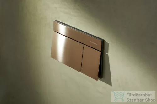 Hansgrohe iFRAME ELEMENT E dual nyomólap, szálcsiszolt bronz 66003140