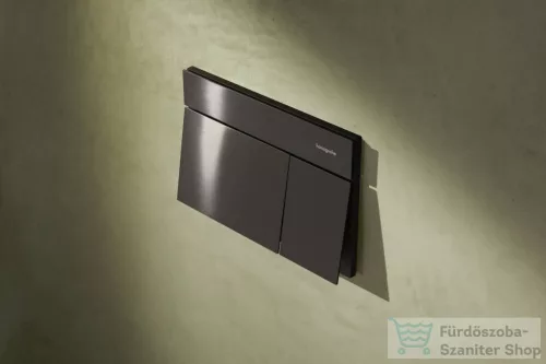 Hansgrohe iFRAME ELEMENT E dual nyomólap, szálcsiszolt fekete króm 66003340