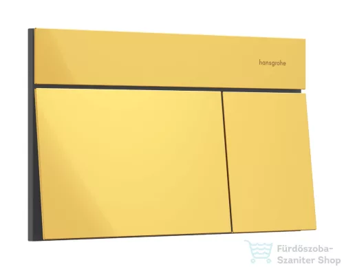 Hansgrohe iFRAME ELEMENT E dual nyomólap, polírozott arany hatású 66003990