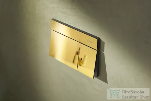 Hansgrohe iFRAME ELEMENT E dual nyomólap, polírozott arany hatású 66003990