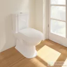 Villeroy & Boch Hommage monoblokkos wc, Ceramic Plus bevonattal 6662 10 R1 ( 666210R1 )