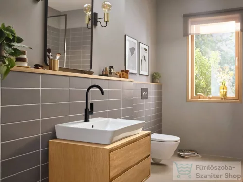 Hansgrohe REBRIS E 210 mosdócsaptelep elforgatható kifolyóval,automata leeresztővel, matt fekete 72576670