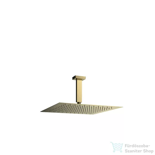 RamonSoler HYDROTHERAPY 30x30 cm-es fejzuhany, mennyezeti zuhanykarral, szálcsiszolt arany 99H309295