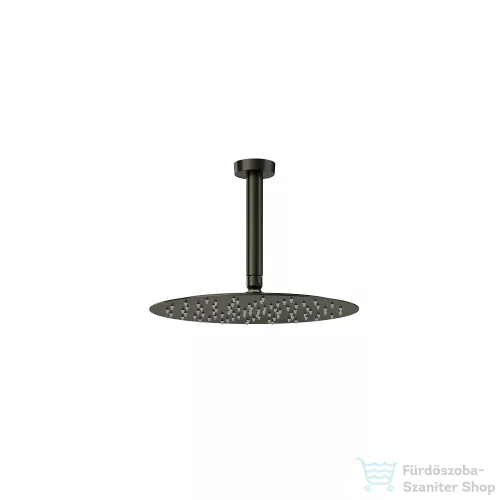 RamonSoler HYDROTHERAPY 30 cm-es fejzuhany, mennyezeti zuhanykarral, szálcsiszolt grafit 99H309917