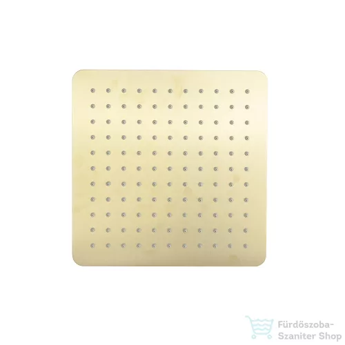 RamonSoler HYDROTHERAPY Slim 30x30 cm-es fejzuhany, szálcsiszolt arany 99Z305265