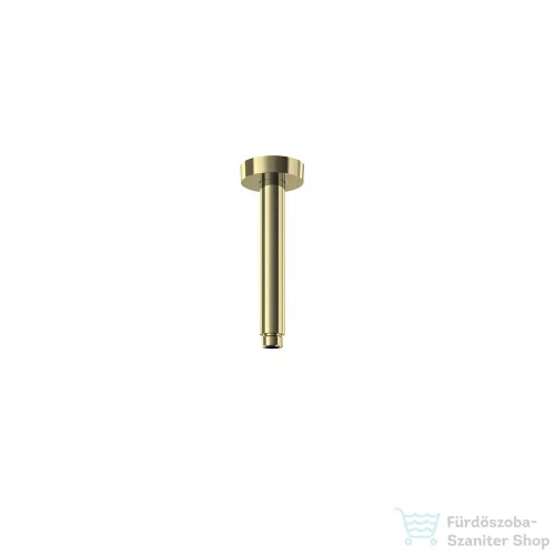RamonSoler HYDROTHERAPY 17 cm-es mennyezeti zuhanykar, szálcsiszolt arany 99Z308993