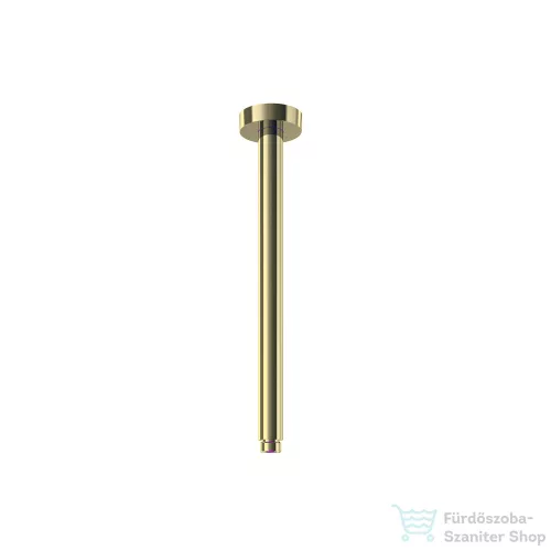 RamonSoler HYDROTHERAPY 30 cm-es mennyezeti zuhanykar, szálcsiszolt arany 99Z308998