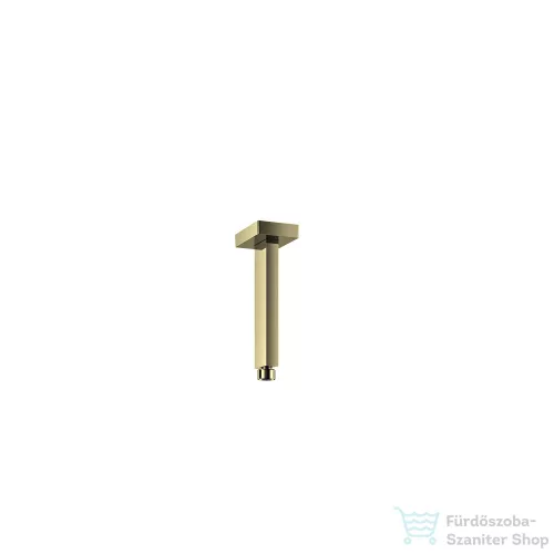 RamonSoler HYDROTHERAPY 15 cm-es mennyezeti zuhanykar, szálcsiszolt arany 99Z309007