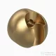 RamonSoler HYDROTHERAPY műanyag zuhanytartó, szálcsiszolt arany 99Z309026