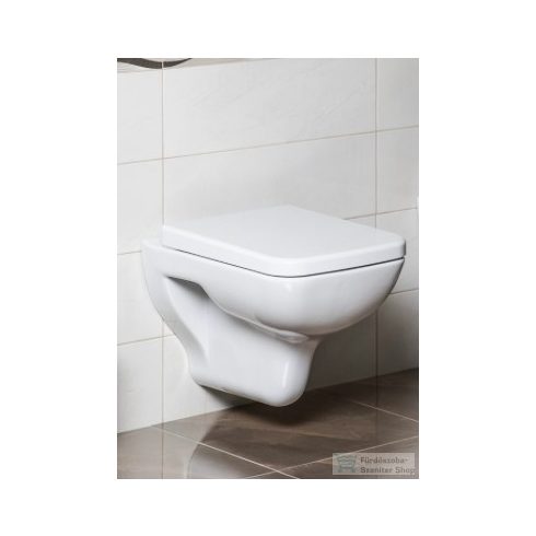 AQUALINE BENE Fali WC, 35,5x51cm (BN320)