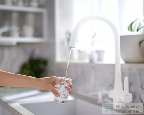 Invena GLAMOUR konyhai csaptelep, álló, flexibilis kifolyóval, pult alá szerelhető vízszűrővel, fehér BZ-02-F02-V
