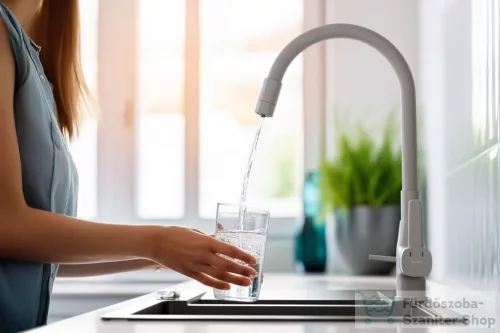 Invena GLAMOUR konyhai csaptelep, álló, flexibilis kifolyóval, pult alá szerelhető vízszűrővel, szürke BZ-02-F05-V