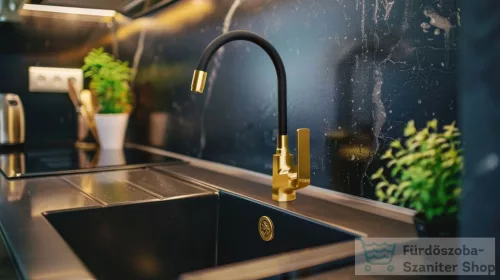 Invena LIGARIA Eco Start konyhai csaptelep, álló, flexibilis kifolyócsővel, fekete-arany BZ-39-009-L