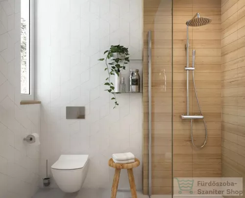 Deante ANEMON fali WC ülőkével, rimless CDZD6ZPW