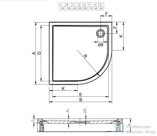 Riho Davos 100x100x14 íves zuhanytálca előlappal és lábbal 285