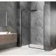 Sapho GLOBE GUN METAL nyíló ajtó,1200mm, balos, transzparent üveg (GB1012LGM)