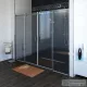 Sapho Gelco DRAGON zuhanyajtó 1700mm, transzparent üveg GD4870