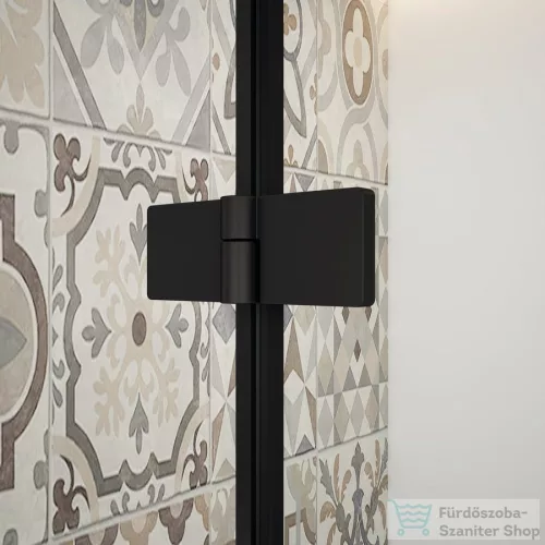 Sapho GELCO TRINITY BLACK zuhanyajtó, 1100mm, transzparent üveg, balos (GT1211CL-B)