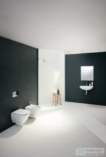 Laufen Lua 60x46 cm-es mosdó egy csaplyukkal,LCC bevonattal,H8110834001041