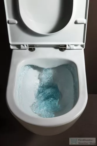 Laufen Pro Fali WC, perem nélküli, mély öblítésű, hagyományos rögzítéssel H8209640000001 ( 820964 )
