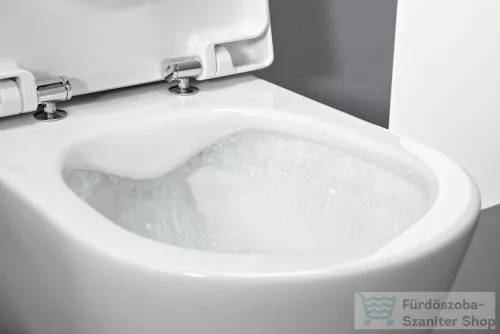 Laufen Pro Fali WC, perem nélküli, mély öblítésű H8209660000001 ( 820966 )