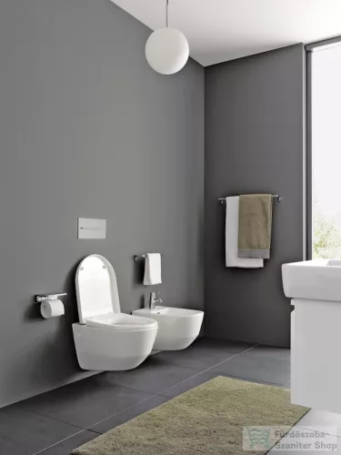 Laufen Pro Fali WC, perem nélküli, mély öblítésű H8209660000001 ( 820966 )