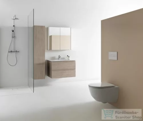 Laufen Pro S 100x50 cm-es 2 fiókos mosdó és alsószekrény kombináció,Világos szil H8649622621041