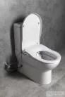 Sapho JALTA Rimless monoblokkos WC CLEAN STAR WC-ülőke bidé funkcióval,Soft close, hidegvizes (LB402-1)