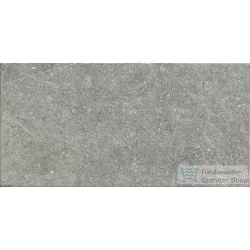 Marazzi Mystone Bluestone20 Grigio 50x100x2 cm-es padlólap MMXM