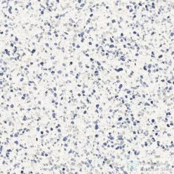   Marazzi Frammento Macro Azzuro R10 Rett.60x60 cm-es padlólap,MN1L