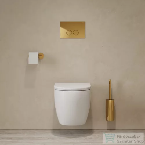 Omnires MODERN PROJEKT fali WC kefe, polírozott arany színű MP60621GL