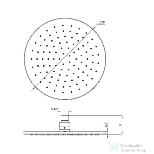 Deante CASCADA kerek fejzuhany 250 mm, szálcsiszolt arany NAC_R10K