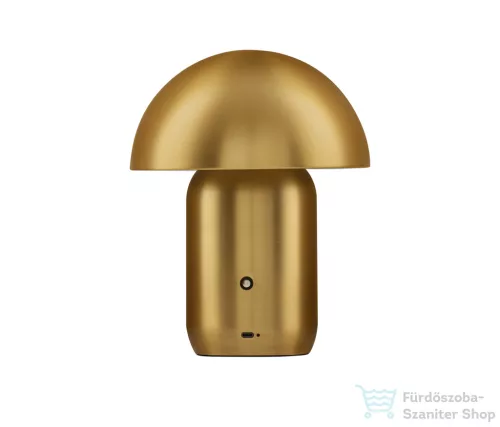 Nova Luce Pois LED asztali lámpa NL-9050170