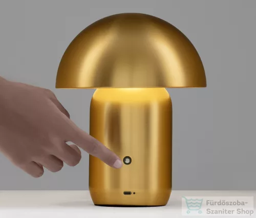 Nova Luce Pois LED asztali lámpa NL-9050170