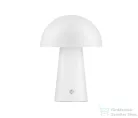 Nova Luce Ande LED asztali lámpa NL-9050176