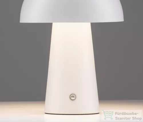 Nova Luce Ande LED asztali lámpa NL-9050176