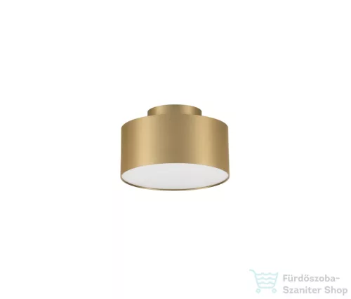 Nova Luce Ozen LED mennyezeti lámpa NL-9695172