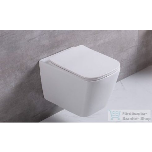 Niwell IRIA Rimless  WC kagyló +ajándék ülőke
