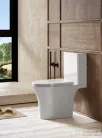 AQUALINE VITO RIMLESS monoblokkos WC, ülőke nélkül,alsó/hátsó kifolyású, 61x35,5cm (PB105WR)