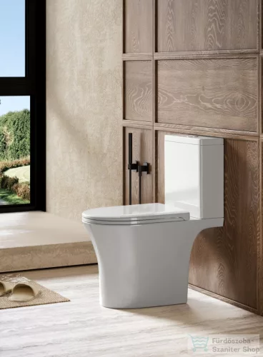 AQUALINE VITO RIMLESS monoblokkos WC, ülőke nélkül,alsó/hátsó kifolyású, 61x35,5cm (PB105WR)