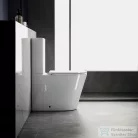 Sapho AVIS VORTEX RIMLESS monoblokkos WC,alsó/hátsó kifolyású, ülőke nélkül (PC106V)