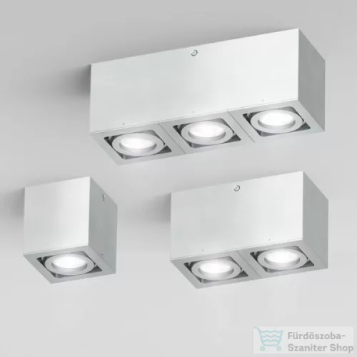 Rendl BERIT II   alumínium 230V GU10 2x50W R10120