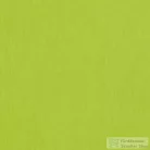 Rendl RON 60/19 lámpabúra  Chintz lime/fehér PVC  max. 23W R11565