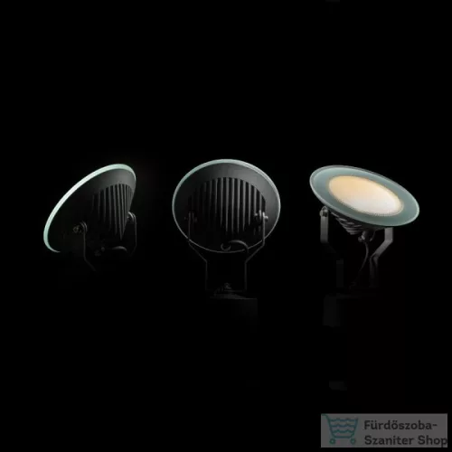 Rendl FOX kültéri lámpa antracitszürke  230V LED 9W 120° IP65  3000K R11753